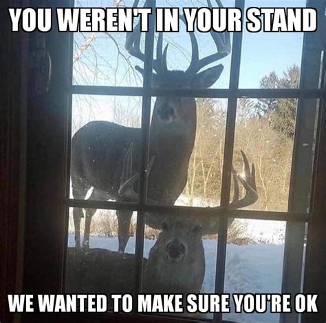Deer Meme You Werent In Your Stand Apsgeyser