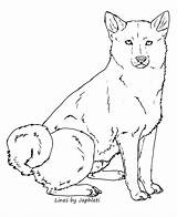 Shiba Inu Coloring Pages Template Custom Sales Examples sketch template