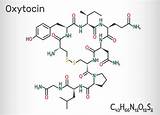 Oxytocin Hormone Peptide Molecule Formula Chemical Neuropeptide Oxt Structural Illustrations Vector Stock Illustration sketch template