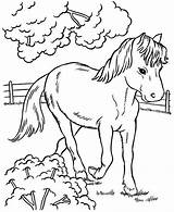 Kleurplaten Pony Paarden Tegninger Heste Cheval Kleurplaat Hest Bibi 2212 Mooiste Caballos Paard Colouring Veulens Downloaden Uitprinten Colorear Tjent Sparet sketch template