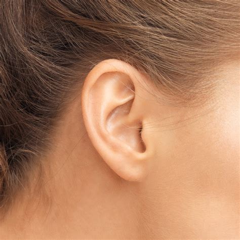 earlobe tear repair lehi utah valley earlobe split repair