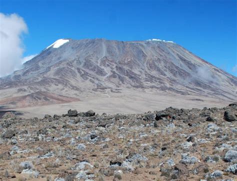 new record for oldest person to climb kilimanjaro cmk