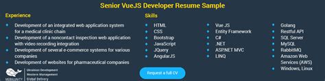 vuejs developer resumes  salaries  mobilunity