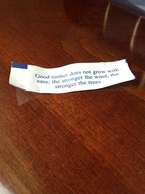 good fortune cookie sayings ouestnycom