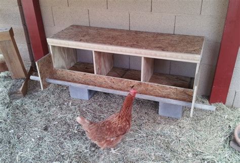 chicken laying boxes