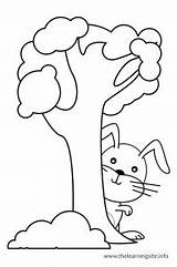 Behind Preposition Coloring Tree Clipart Outline Rabbit Pages Colouring Prepositions Worksheets Clip Click Flashcards Printable Activity Flashcard Printablecolouringpages 1440 Subtitles sketch template