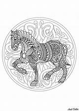 Mandala Coloring Horse Mandalas Pages Difficult Animals Color Cheval Print Beautiful Animal Patterns Adult Adults Complex Interlaced Colored Printable Justcolor sketch template