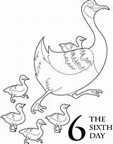 Days Christmas Coloring Book Pages Twelve Scholastic Printable Geese Laying Pear Color Swans Parents Getdrawings Getcolorings sketch template