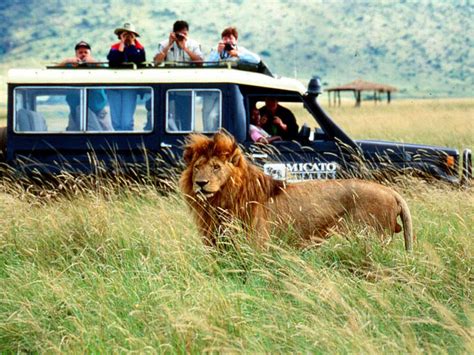 africa safari  rules travelvivicom