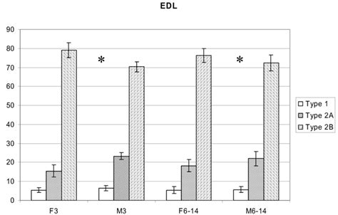 B Sex Differences In The Fiber Type Composition Of The Extensor