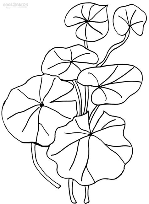 printable lily pad coloring pages  kids