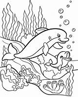 Coloring Dolphins Dolphin Pages Baby Children Sea Kids Printable Print Water Animals Animal Topcoloringpages Two Color Ocean Toddlers Adult Mommy sketch template