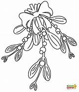 Mistletoe Coloring4free Kiddycharts Froggy Bestcoloringpagesforkids sketch template