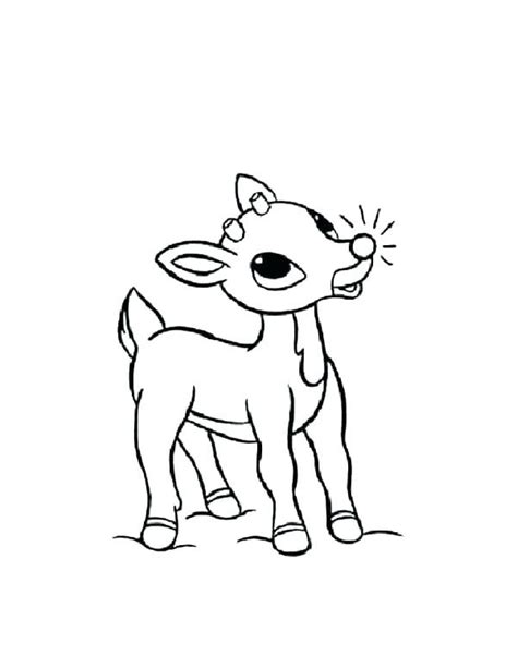 elf   shelf pet reindeer coloring pages wallpapers hd references
