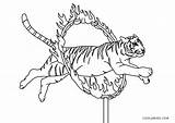 Circus Coloring Pages Tiger sketch template