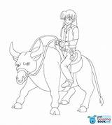 Stier Ausmalbilder Touro Pintar Ausmalbild Zebu Justcoloringbook sketch template