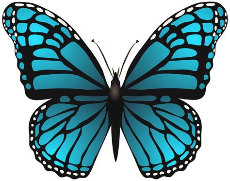 large blue butterfly clipart   cliparts  images  clipground
