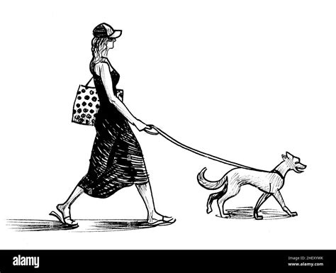 lady walking  dog cut  stock images pictures alamy