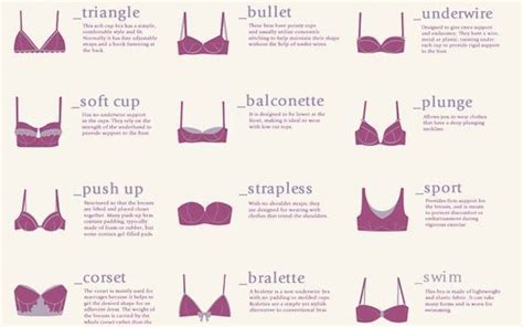 top 35 types of bra revealed