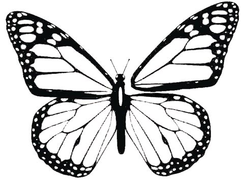 butterfly wing patterns google search butterfly clip art butterfly