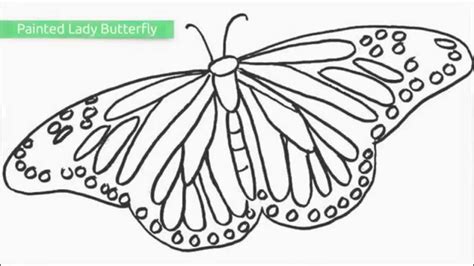 beautiful butterfly  printable coloring pages thousand