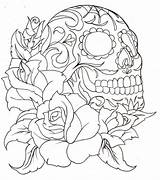 Skull Metacharis sketch template