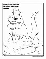 Chipmunk Activity Nuts Tracing Size sketch template