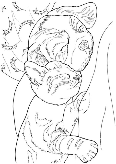 creative haven lovable cats  dogs coloring book  sample pages