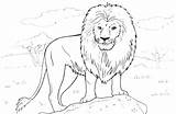 Coloring Lion Pages Wardrobe Mountain Den Drawing Printable African Getdrawings Animals Kids Getcolorings Paintingvalley sketch template