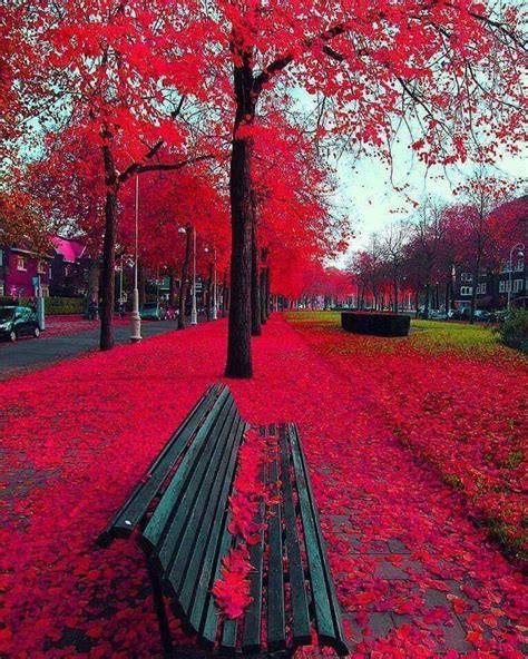 Autumn In Amsterdam The Netherlands Paisaje De Otoño Hermosos