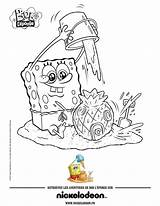 Esponja Spongebob Plage Eponge S8b Leponge éponge sketch template