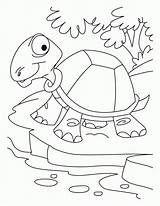 Coloring Desert Pages Tortoise Thirsty Habitat Clipart Landscape Scene Hare Getcolorings Printable Kids Sahara Animals Getdrawings Popular Colorings Biomes Color sketch template