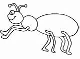 Hormigas Animadas sketch template