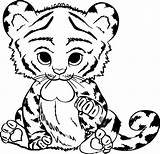 Tiere Malvorlagen Babytiger Wilde Malvorlagentv Alifiah Katzen sketch template