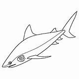 Shark Coloring Pages Bull sketch template