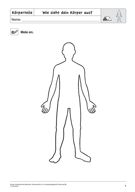 sopaed unterrichtsmaterial sachunterricht koerper und gesundheit