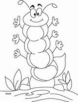 Coloriage Caterpillar Chenille Lagarta Hungry Colorare Ulat Mewarnai Anak Insect Coloriages Imut Chenilles Lagartas Schede Pagine Paud Tk Getdrawings Pintar sketch template