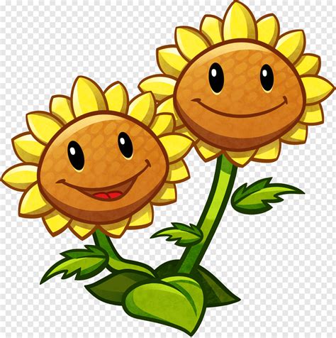 Fajarv Sunflower Plants Vs Zombies Pictures