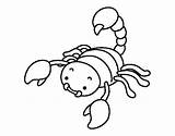 Scorpion Coloring Pages Sting Raised Colorear Color Getcolorings Insects Coloringcrew sketch template