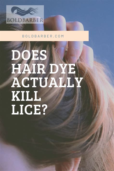 hair dye kill lice  query
