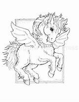 Coloring Pages Horse Adult Colouring Books Bing Jody Bergsma Colorful Wings Sheets Lagret Fra Drawings Print Kids Horses Adults sketch template