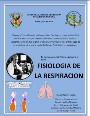 fisiologia medica respiracion