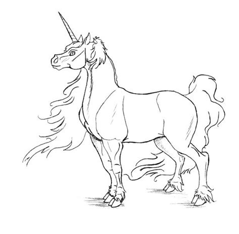male unicorn coloring page kids coloring pages pinterest
