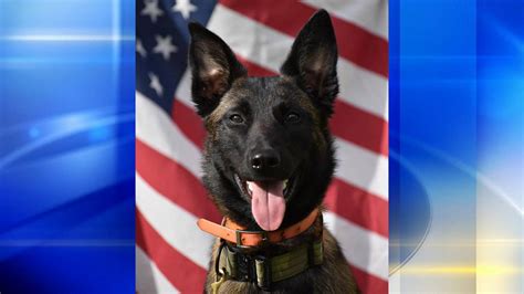 Aliquippa Police Departments K 9 Donated Body Armor By Charity