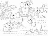 Elephants Elefanti Africani Olifanten Elefante Vettore Fumetto Afrikaanse Boek Vectorillustratie Kleuren Indiani Stampare sketch template