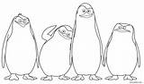 Coloring Penguin Pages Madagascar Penguins Drawing Cool2bkids Kids Colouring Printable Realistic Disney Rocks Color Movie Sheets Christmas Getdrawings Visit sketch template