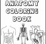 Coloring Kidney System Excretory Getcolorings Pages Getdrawings sketch template