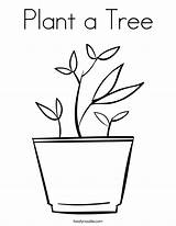 Coloring Plant Tree Potted Built California Usa sketch template