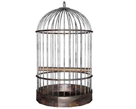 alberts sermon illustrations  empty bird cage