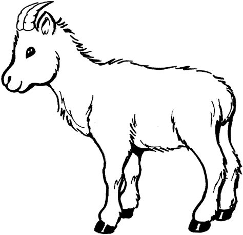 goat coloring pages clipart